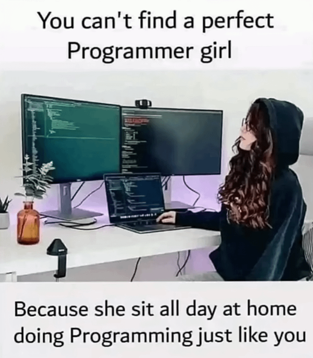 理想のプログラマー彼女